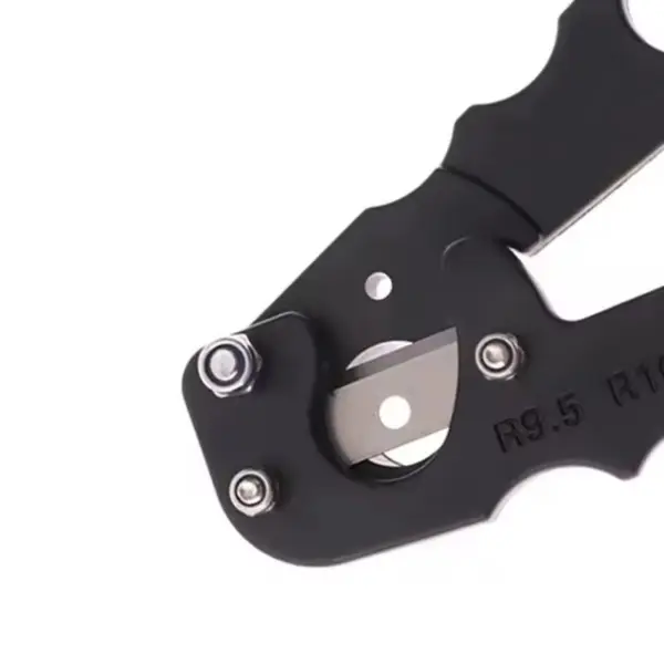 izobrazhenie_viber_2025-08-05_12-11-31-873