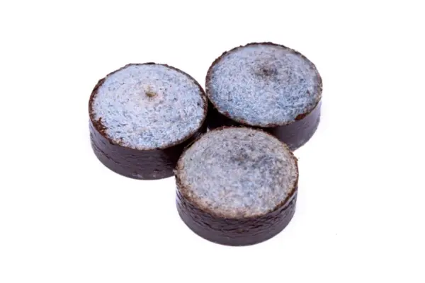 triangle-13mm-pressovanyj-zhestkij-n-game-joy-scaled-3